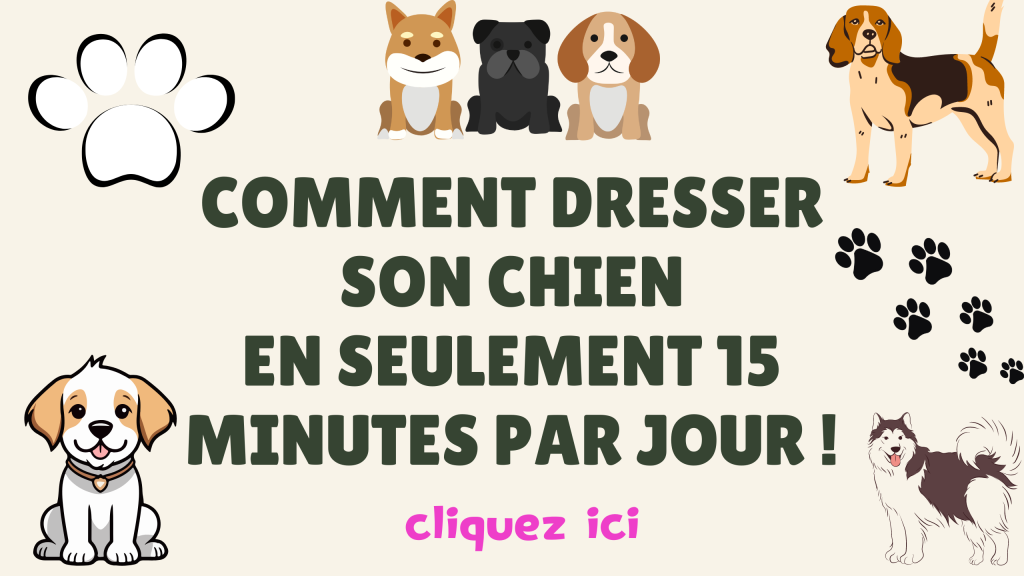 Dresser son chien en 15 min