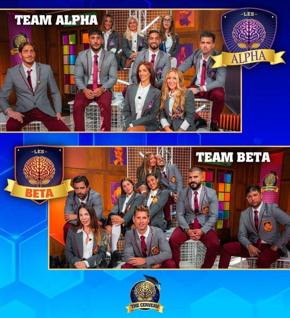 The Cerveau w9 les Alpha vs les bêta